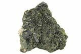 Lustrous Epidote Crystals on Actinolite - Pakistan #213458-1